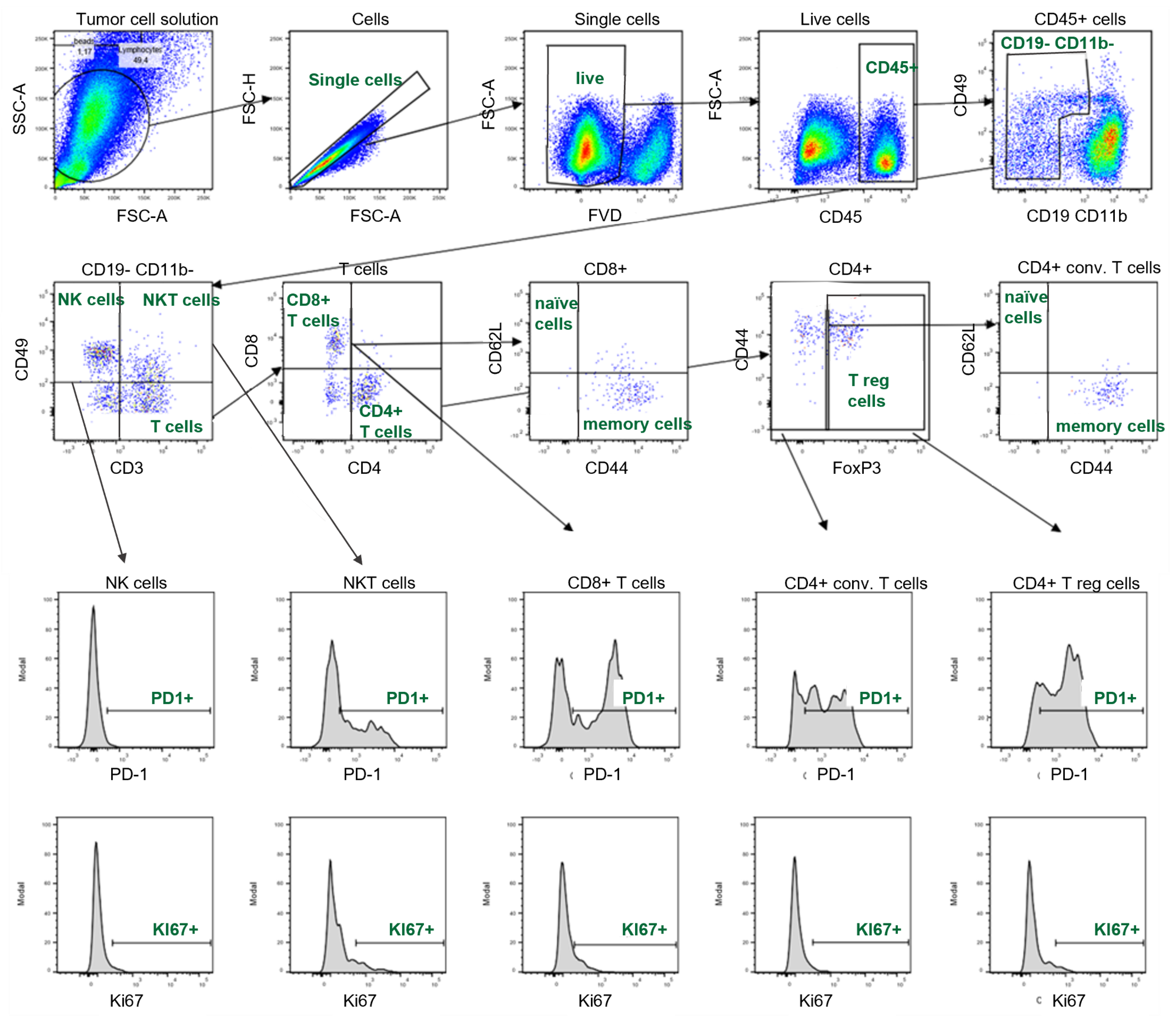 Flow Cytometry Capabilities Reaction Biology 2335